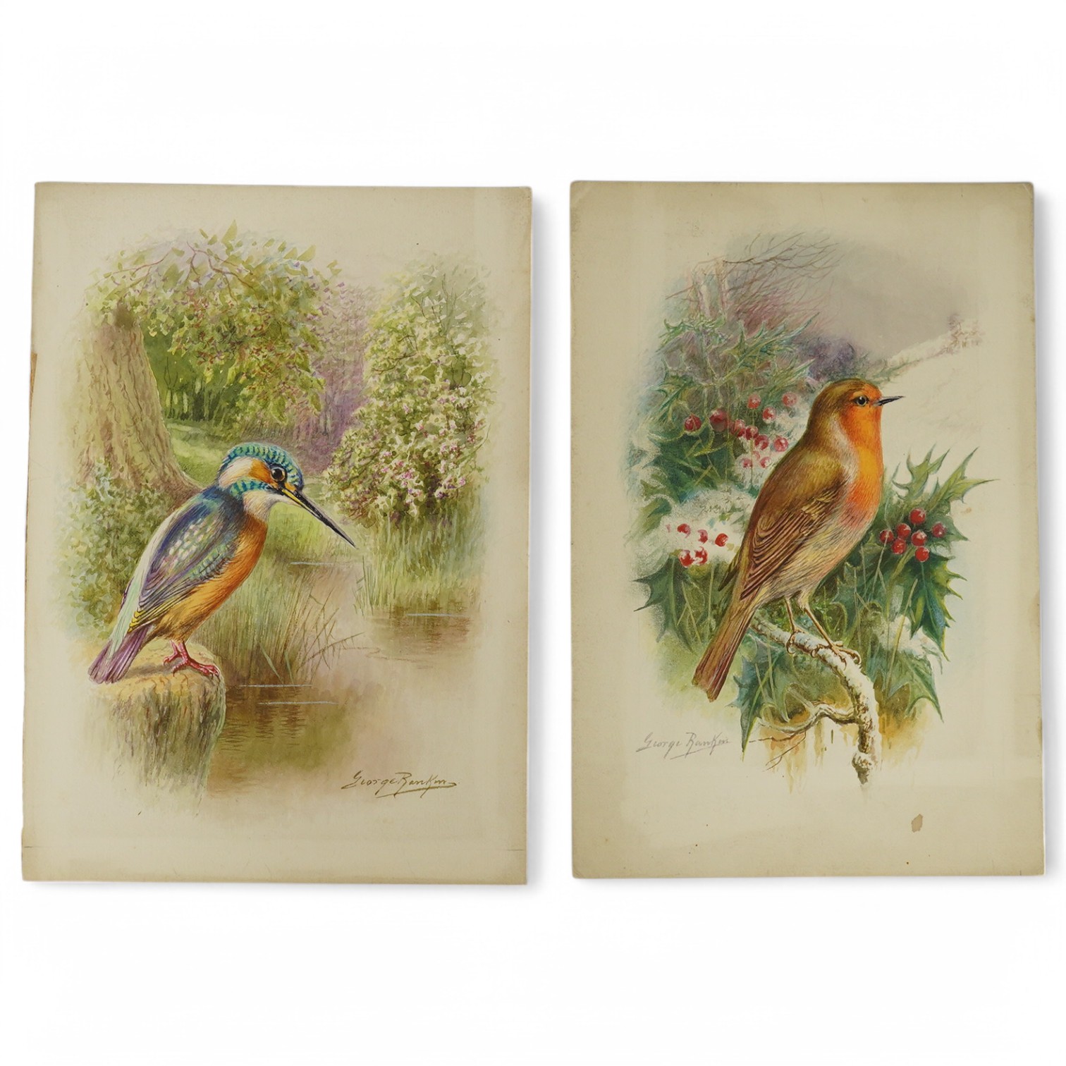 George Rankin (1864-1937), pair of original watercolours for postcard designs British birds, ‘robin’ and ‘kingfisher’ each signed, unframed, 26 x 19cm. Condition - fair